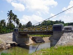 Bupati Lamsel Egi Jawab Harapan Warga Sidomulyo, Jembatan Way Buatan Kini Kokoh dan Aman Dilintasi