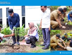 5.792 PPPK Paruh Waktu Lampung Selatan Tanam Pohon Serentak, Kampanye “Pohon Asuh” Gaungkan Gerakan Hijau dari Birokrasi